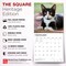 BrownTrout; Tuxedo Cats | 2027 12 x 24 Inch (Hanging) Monthly Square Wall Calendar | Plastic-Free; Category:Wall Calendars; Image:7